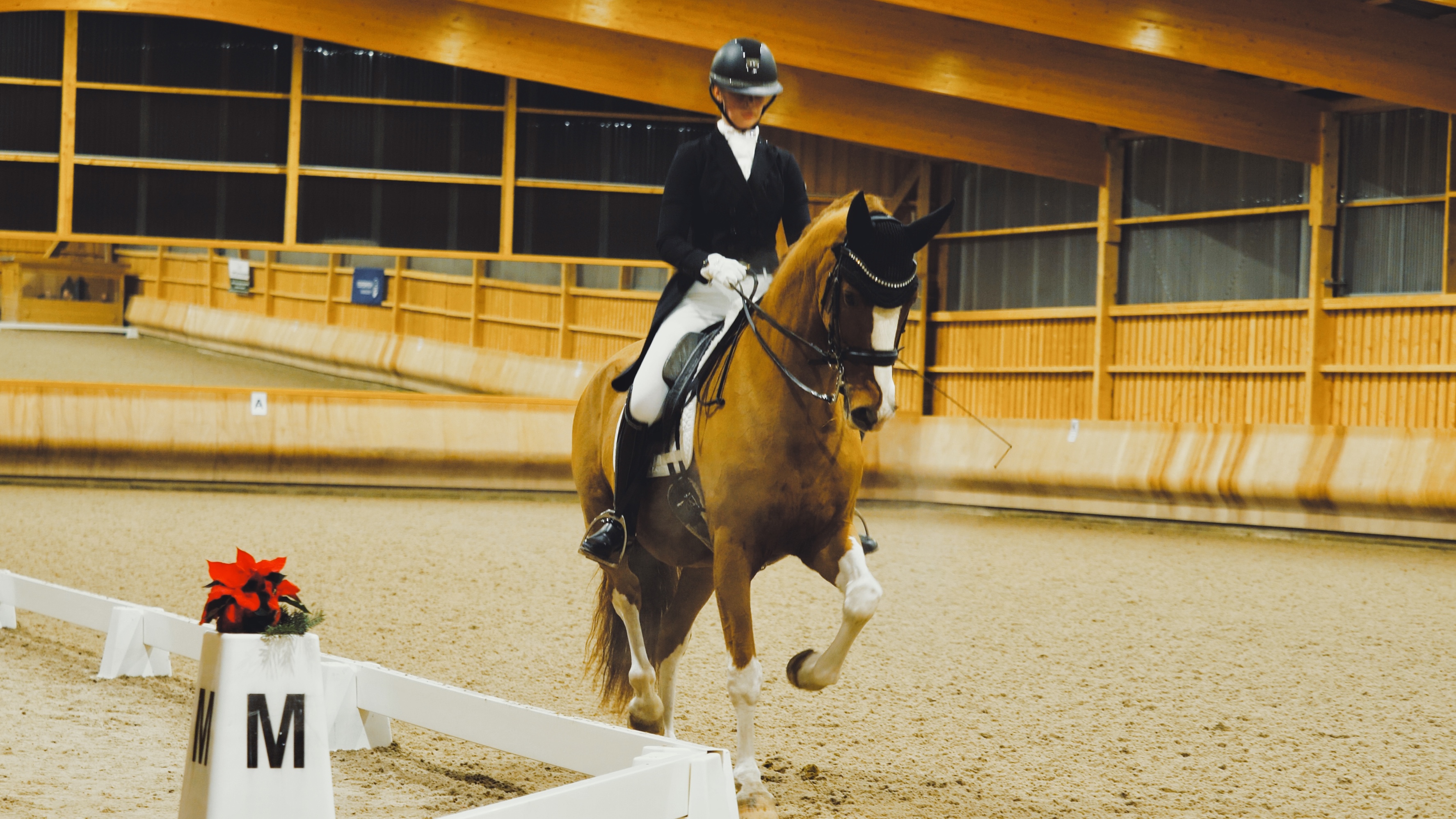 Videoproduktion auf der Buchmesse Leipzig by Nelson Ptak.